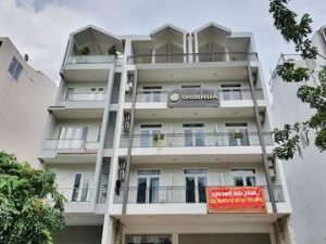 shinhua-building-99-101-duong-d1-phuong-tan-hung-quan-7-van-phong-cho-thue-vanphong.me-bia