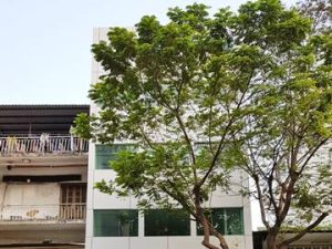 vietoffice-building-481-dien-bien-phu-phuong-3-quan-3-van-phong-cho-thue-vanphong.me-bia