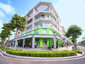 the-edu-house-sh-4-5-6-saritown-duong-so-5-kdt-sala-phuong-an-loi-dong-quan-2-van-phong-cho-thue-meoffice.vn-bia